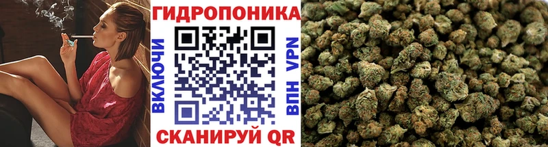 Виды наркотиков купить Пучеж Альфа ПВП  Cocaine  МЕТАМФЕТАМИН  Канабис  Мефедрон 