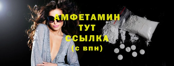 шишки Абаза